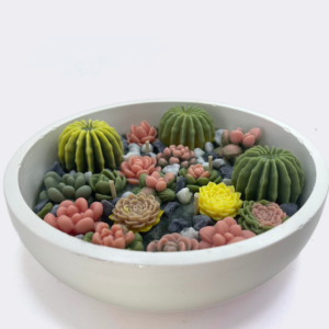Bolul cu Suculente – Lumanare Handmade