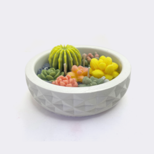 Bolul cu Suculente – Handmade (Mărime Medie)